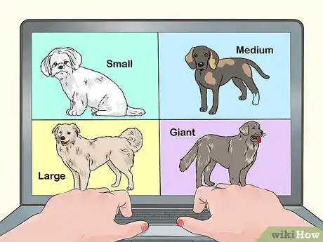 Image titled Fly with Pets Step 1