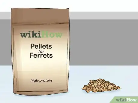 Image titled Feed a Ferret Step 1