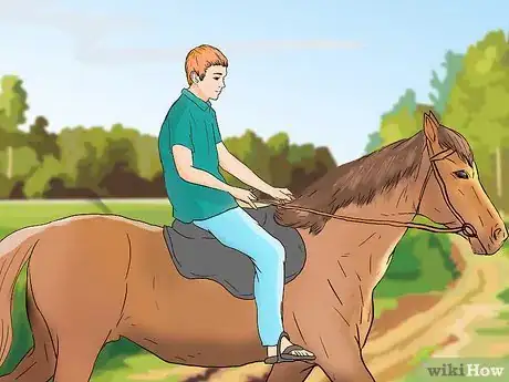Image titled Care for a Blind Horse Step 11