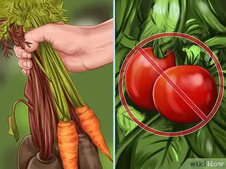 Image titled Build a Chicken Friendly Garden Step 6