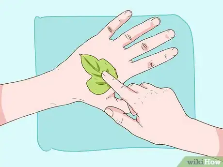 Image titled Harvest Kudzu Step 6