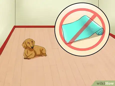 Image titled Deal with Having a Visually Impaired Dog Step 17