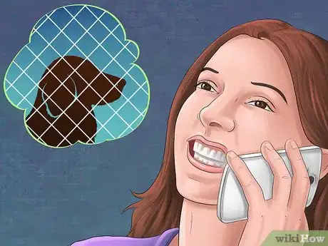 Image titled Adopt Out a Shy Dog Step 7