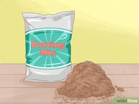 Image titled Plant Begonias in a Pot Step 3