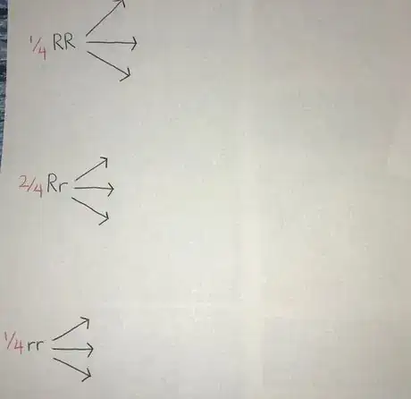 Image titled Wiki 8 hi