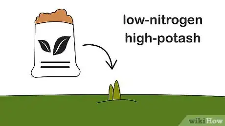 Image titled Plant Daffodils Step 10