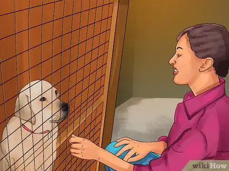 Image titled Adopt a Service Dog Step 4