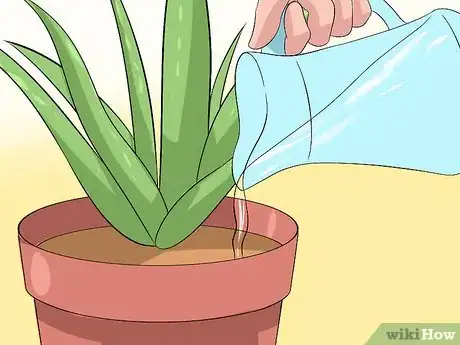 Image titled Care for Your Aloe Vera Plant Step 2
