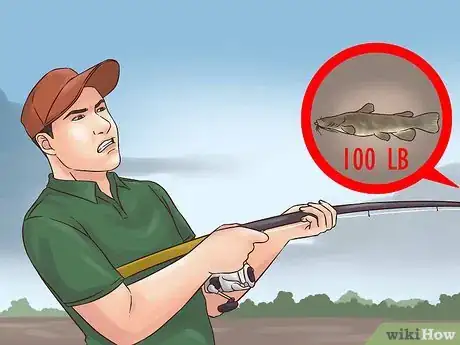 Image titled Catch Flathead Catfish Step 10
