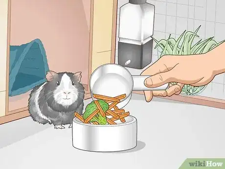 Image titled Care for an Outdoor Guinea Pig Step 10