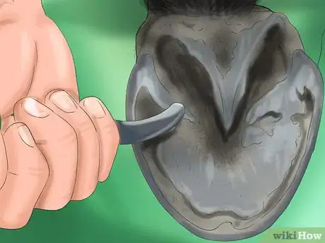 Image titled Care for Your Horse In the Winter Step 15