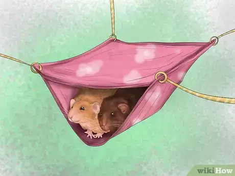 Image titled Make Your House a Better Place for Animals Step 9