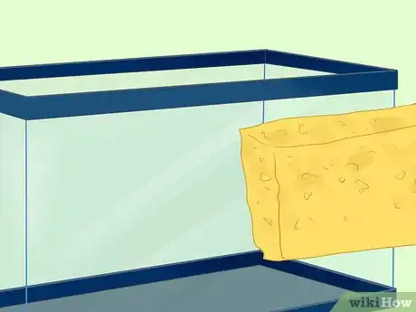 Image titled Treat Fungal Infections in Fish Step 8