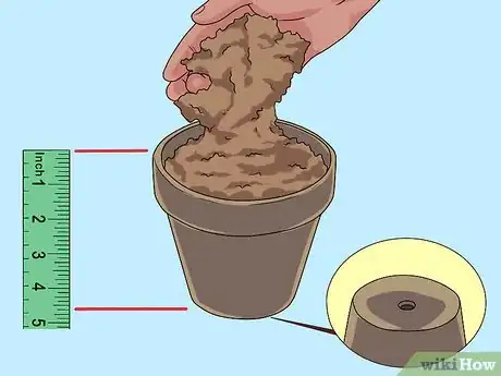 Image titled Grow Delphinium Step 11