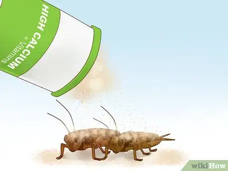 Image titled Feed a Lizard Step 5