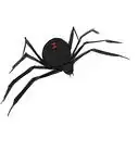 Draw a Spider