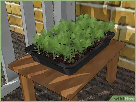 Image titled Plant a Seed Step 10