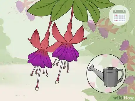 Image titled Overwinter Fuchsias Step 1