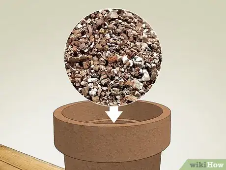 Image titled Care for a Cactus Step 3