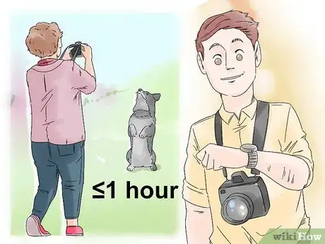 Image titled Photograph Dogs Step 14