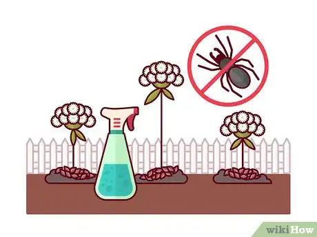 Image titled Grow Toothpick Weed Step 9