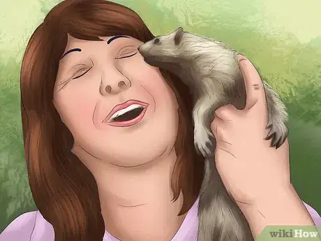 Image titled Buy a Ferret Step 19