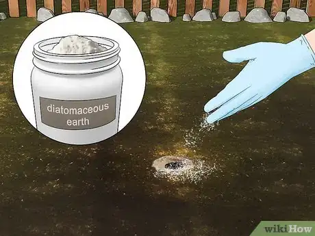 Image titled Get Rid of Yellow Jackets in the Ground Step 2