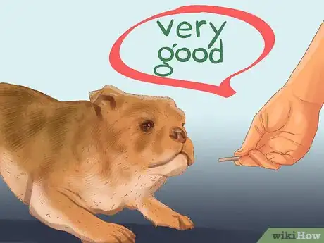 Image titled Manage Aggression in Older Dogs Step 5