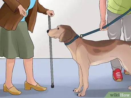 Image titled Keep Elderly Family Safe Around Active Dogs Step 7