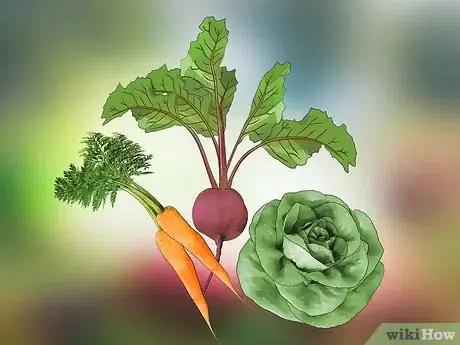 Image titled Plan a Vegetable Garden Step 1