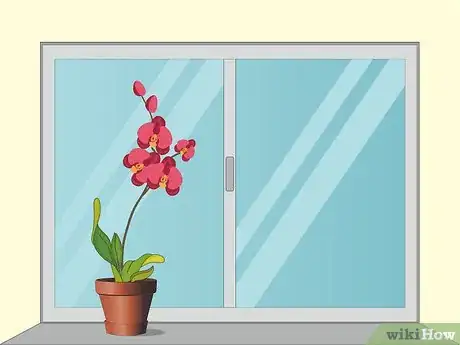 Image titled Care for Orchids Step 3