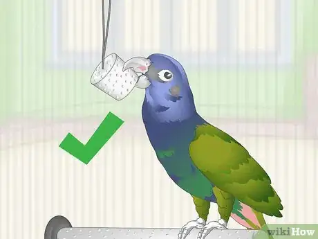 Image titled Keep Pionus Parrots Groomed Step 12