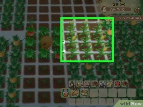 Image titled Make Baked Corn in Harvest Moon_ Friends of Mineral Town Step 2