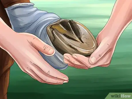 Image titled Exercise Horses in Cold Weather Step 8