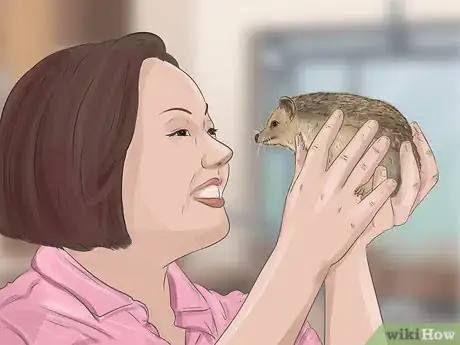 Image titled Tame a Hedgehog Step 10