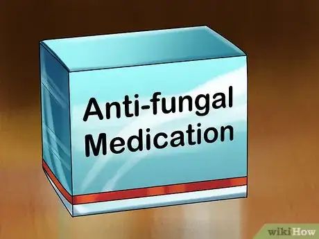 Image titled Treat Skin Inflammation in Cats Step 4