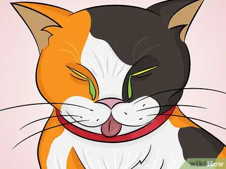 Image titled Prevent Feline Upper Respiratory Illness Step 4