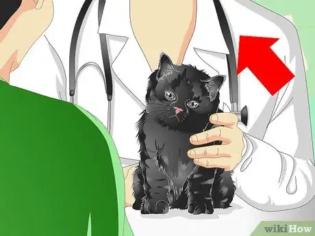 Image titled Care for an Overweight Cat Step 1