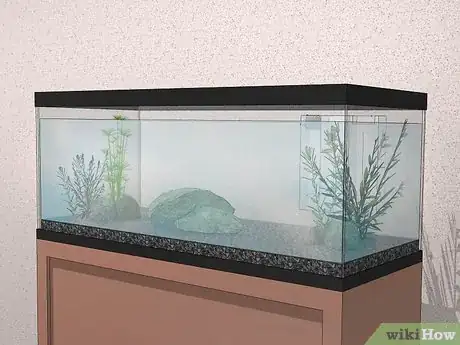 Image titled Acclimate Your Fish to a New Aquarium Step 10