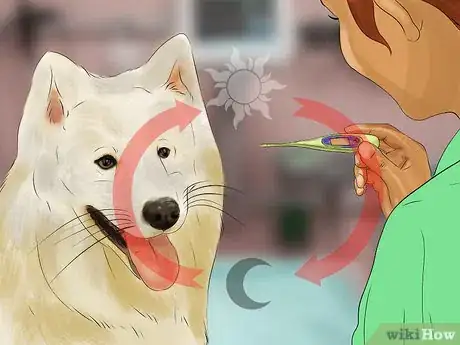 Image titled Treat Fever in Dogs Step 12