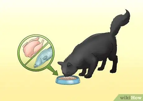 Image titled Care for a Cat with Kidney Failure Step 2