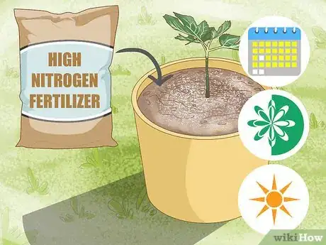 Image titled Grow Figs in Pots Step 9