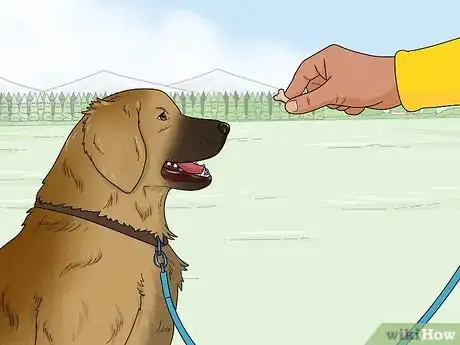 Image titled Keep a Dog Out of the Kitchen Step 1