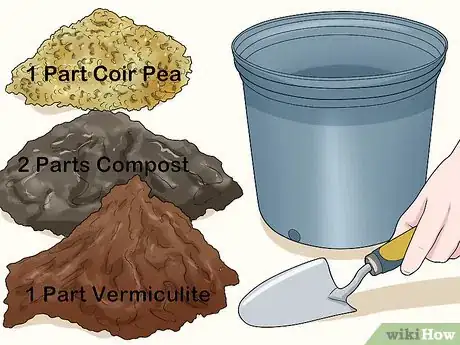 Image titled Design a Successful Indoor Garden Step 6