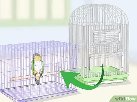 Image titled Clean a Caique Parrot Cage Step 6
