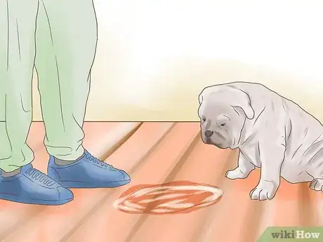 Image titled Get Dog Smell Out of a Basement Step 13
