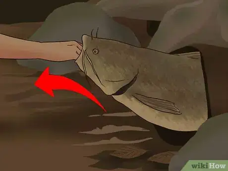 Image titled Catch Flathead Catfish Step 17