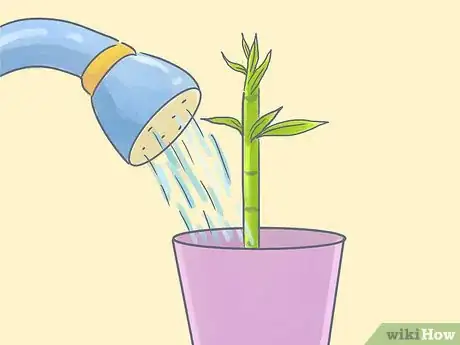 Image titled Grow Oleanders from Cuttings Step 8