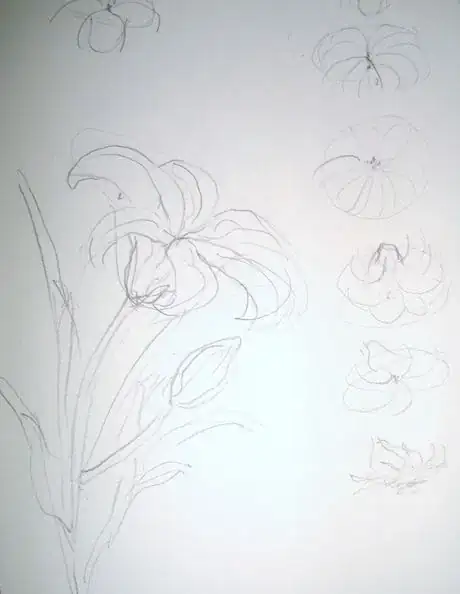 Image titled Lookatdaylily