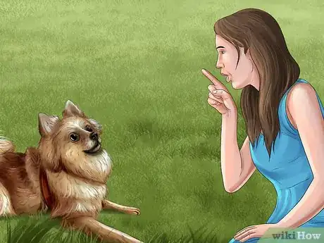 Image titled Keep Kids’ Toys Away from Dogs Step 4